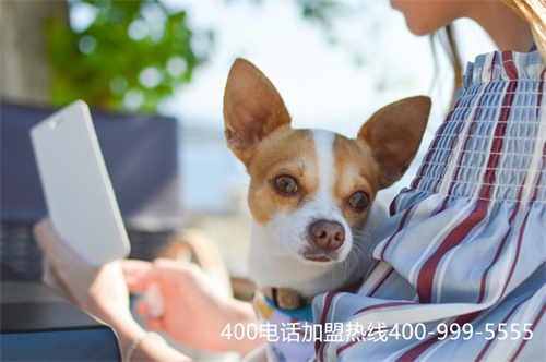 (400電話是干什么的)(400電話是什么的電話)