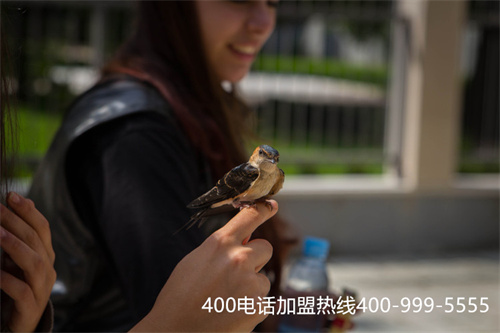 道外怎么申請400這種電話（近的400電話申請方法）